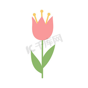 郁金香背景摄影照片_白色背景上的简单卡通图标-郁金香绽放。 