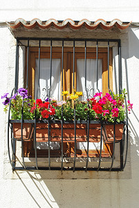 开窗换气摄影照片_里斯本典型的鲜花阳台