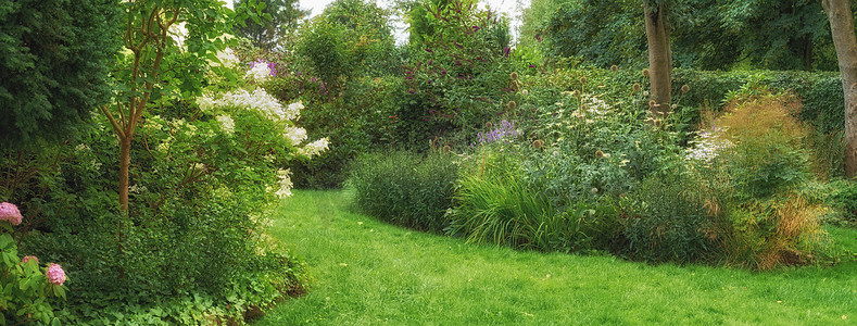 夏季户外，绿草、树木和不同花朵盛开的植物园。