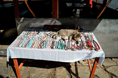 一只猫睡在满是游客纪念品的桌子上