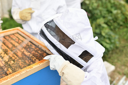 细胞防护摄影照片_身穿防护服的养蜂人孩子在养蜂场
