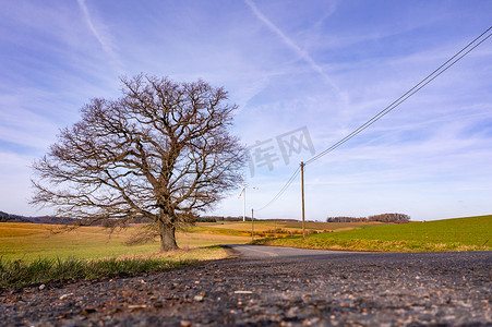 绿色能源背景图摄影照片_背景中树木、道路、电线杆和风力涡轮机的乡村景观