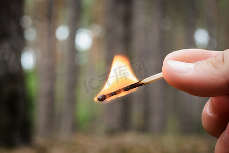 在针叶林里，男人手里拿着一根燃烧的火柴