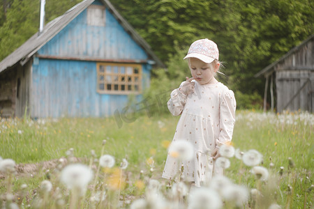 夏天，美丽的孩子在公园里开着蒲公英花。