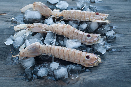 躺在冰床上的新鲜鲻鱼