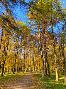 公园风景摄影照片_公园秋季景观。