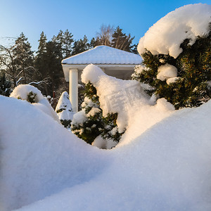 在阳光明媚的日子里，冬季花园覆盖着一层厚厚的白色蓬松的雪。