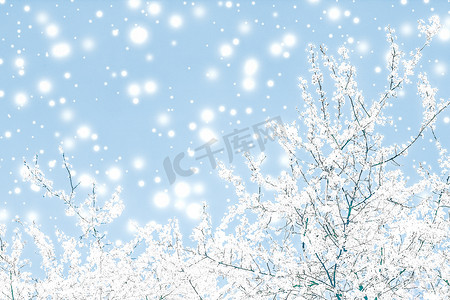 圣诞节、新年蓝色花卉背景、节日贺卡设计、花树和雪花作为豪华美容品牌的冬季促销背景