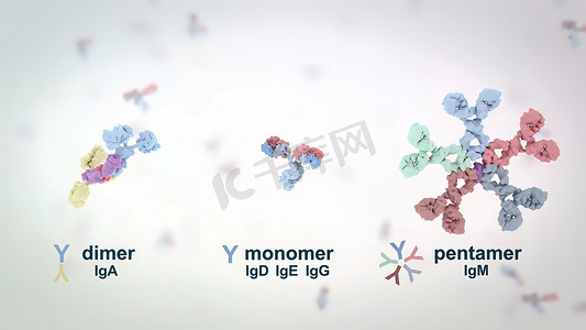 水火对抗摄影照片_抗体是免疫系统产生的用于对抗感染的蛋白质。