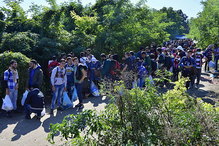 登记摄影照片_巴布斯卡（塞尔维亚-克罗地亚边境）的难民