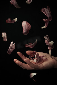 飘落花瓣背景摄影照片_黑色背景上的手接住飘落的郁金香花瓣。