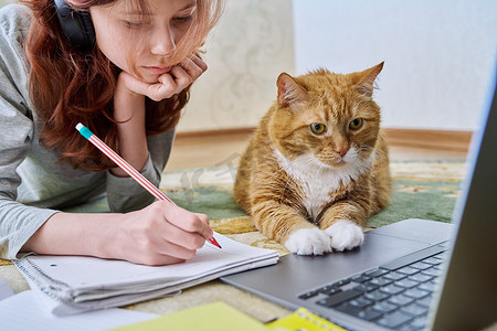 青春期前的女孩用笔记本电脑和姜猫一起在家学习