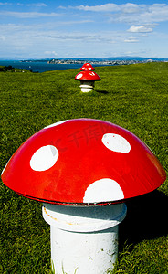 斑点红色摄影照片_装饰蘑菇