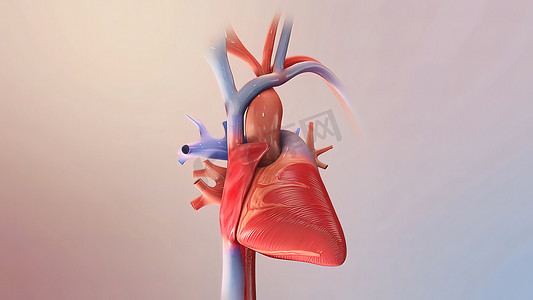 泵摄影照片_心力衰竭意味着心脏无法正常地将血液泵送到身体各处。