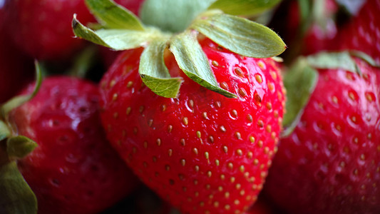 成熟红草莓特写的选择性聚焦
