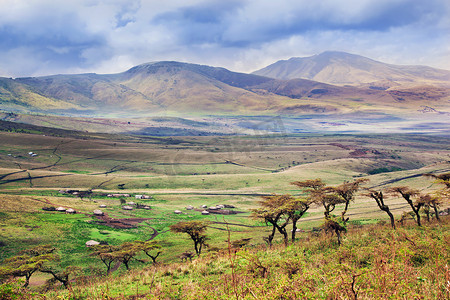 非洲坦桑尼亚的大草原景观