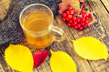 一杯茶、黑色针织围巾、荚莲属植物树枝和秋黄叶