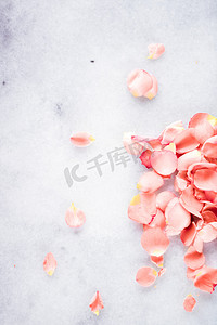 ppt总结年度摄影照片_大理石上的珊瑚玫瑰花瓣、年度颜色 — 花卉背景和节日概念