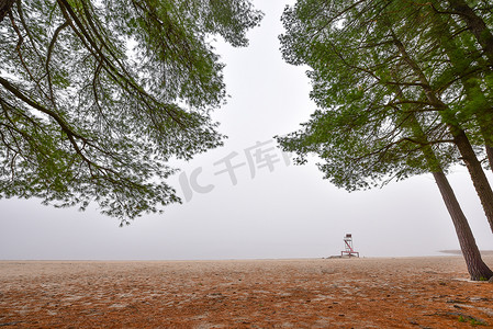 发光的海摄影照片_高大的松树和云杉 — 秋天早晨的海滩边景色被雾包围。