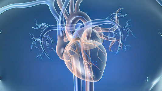 心脏手术摄影照片_心导管插入术是用于诊断和治疗某些心血管疾病的手术