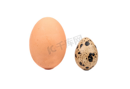 鸡蛋加工摄影照片_鸡蛋和鹌鹑蛋