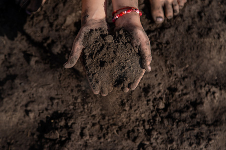 手拿着泥土摄影照片_孩子在花园里拿着泥土。