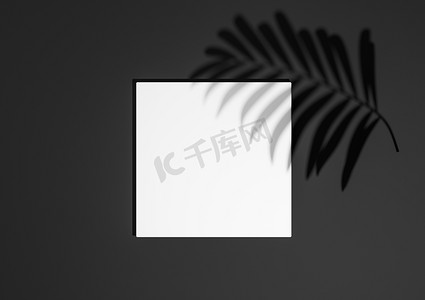 黑色展示台摄影照片_黑色、深灰色、黑白、3D 渲染最小、简单的顶视图平躺产品展示背景，带有一个讲台支架和自然产品的棕榈叶阴影