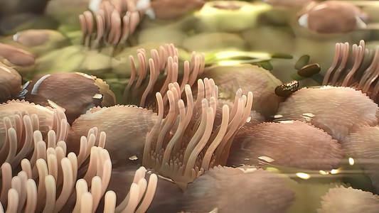 纤维化机制的 3D 微生物学图示