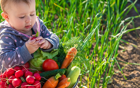 宝宝穿棉衣服摄影照片_宝宝手里拿着很多从花园里收获的蔬菜。
