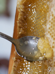 蜂巢边框摄影照片_养蜂人在家中从蜂巢中提取和滴下有机蜂蜜