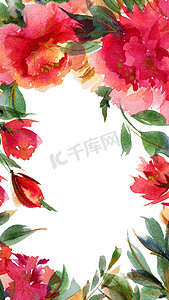牡丹手绘摄影照片_粉红牡丹植物水彩方形肖像背景