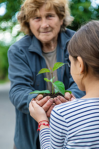 孩子和奶奶正在植树。