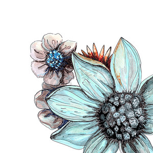 手绘美丽花朵摄影照片_美丽的花卉手绘水彩花束，配有蓝色雏菊、米色和黄色花朵，隔离在白色背景上。