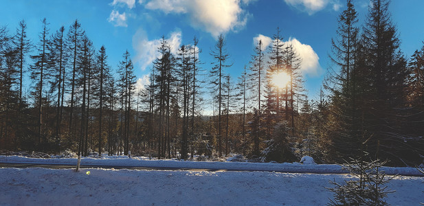 白雪皑皑的森林摄影照片_日落时的冬季景观在白雪皑皑的森林湖边。