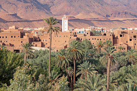 沙漠和绿洲摄影照片_非洲摩洛哥戴德谷的绿洲