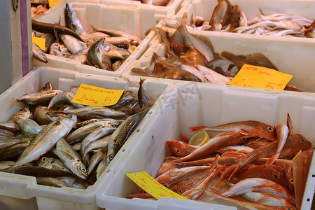 市场摊位上的新鲜鱼（标签：荷兰语、鲭鱼和普通鱼的价格和产品信息）