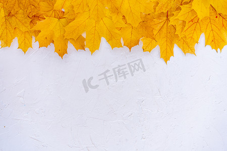 边框纹理金色摄影照片_秋叶框架在白色背景顶视图秋季边框黄色和橙色叶子复古结构表复制文本空间。