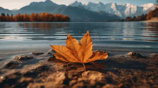 水体摄影照片_白天靠近水体和山脉的枯叶自然风景