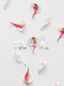 白色背景上的“你和我”字样的顶部视图，带有粉红色的花瓣。
