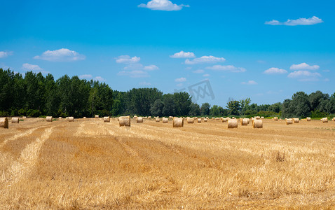 蓝色的夏日天空，在一片色彩鲜艳的收割麦田上