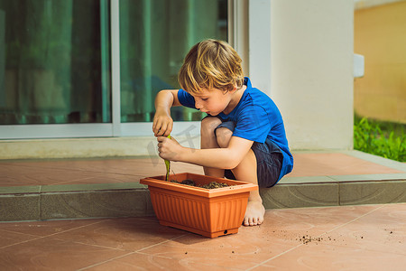 小可爱的男孩在花园的花盆里播种种子