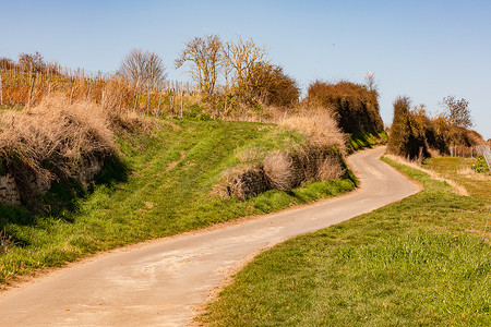 延伸的乡村小路摄影照片_一条农田小道在田地之间蜿蜒向上，一直延伸到地平线