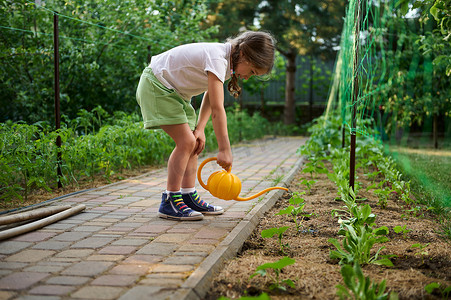 可爱的孩子，小女孩用喷壶，在花坛里浇水种苗。