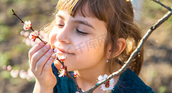 一个孩子在开花树木的花园里。