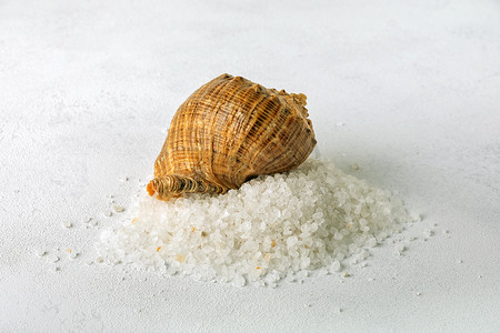 有机温泉海盐被倒入海中的一堆和贝壳中