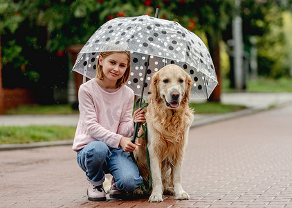 青春期前的女孩与金毛猎犬狗