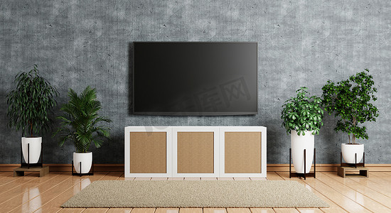 现代空荡荡的房间里的木柜上方有电视，木地板上铺着植物和地毯。
