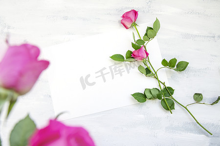 白桌上粉色玫瑰花制成的平铺组合物