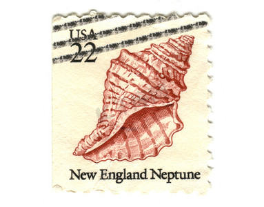 白色背景 22c 上的美国邮票