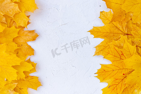 秋叶框架在白色背景顶视图秋季边框黄色和橙色叶子复古结构表复制文本空间。